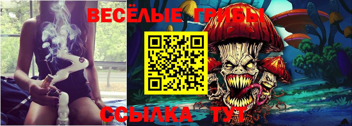 Галлюциногенные грибы ЛСД Гуково